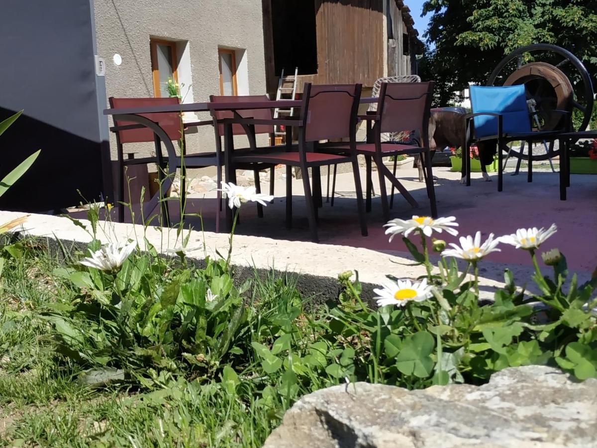 Maison D'Hotes Des Bassins D'Oche Saint-Paul-en-Chablais エクステリア 写真