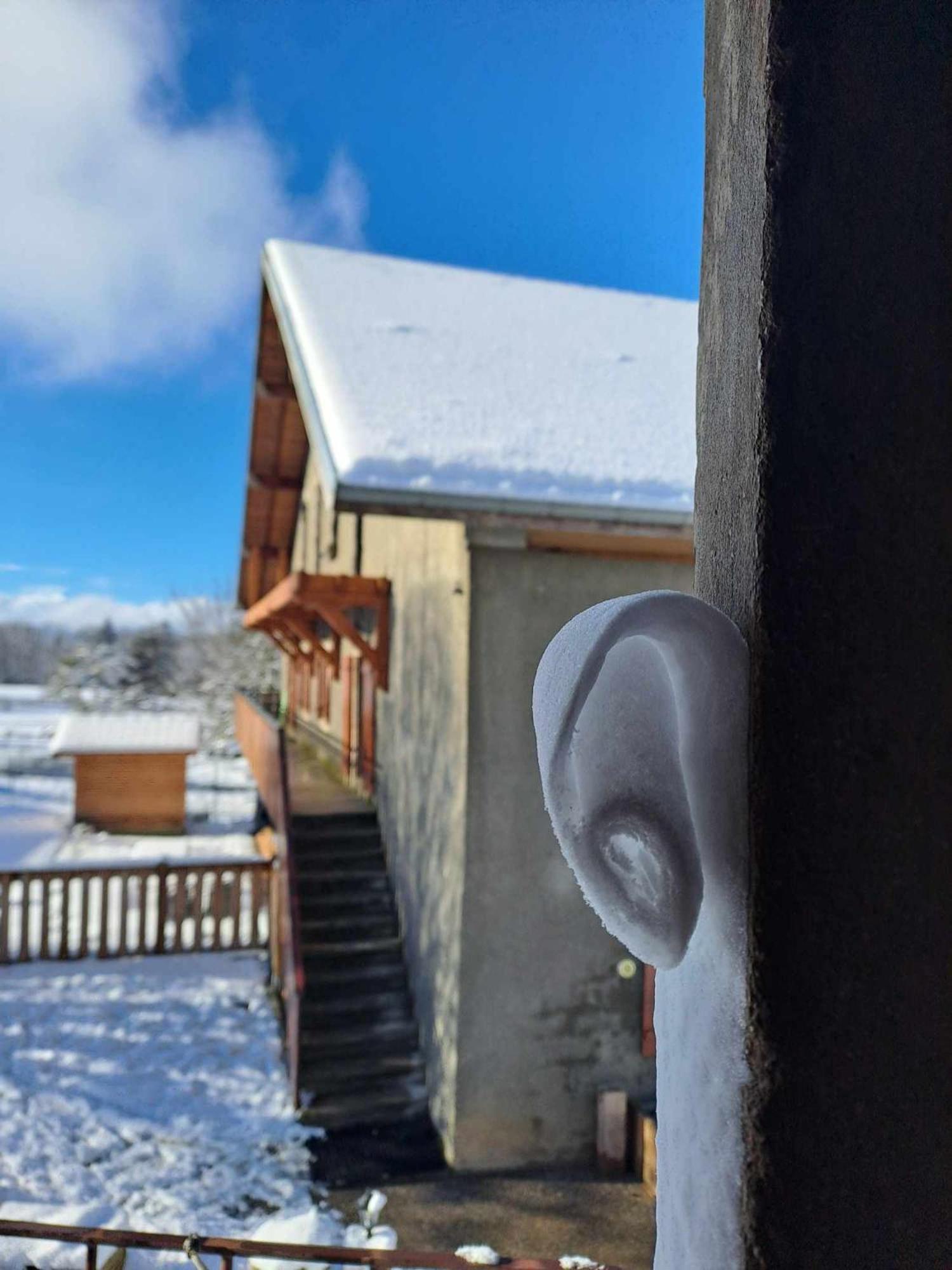 Maison D'Hotes Des Bassins D'Oche Saint-Paul-en-Chablais エクステリア 写真